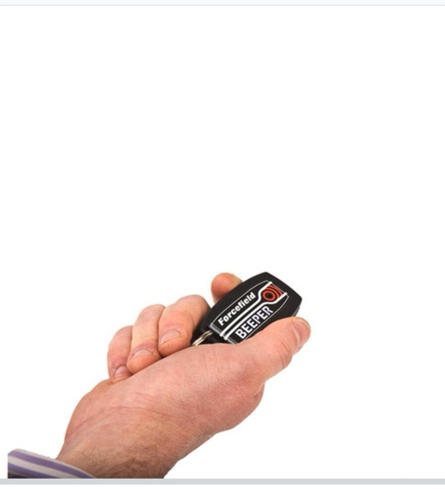 Forcefield Fence Test Beeper