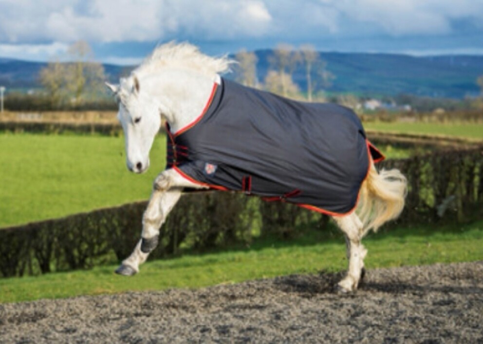 Equisential Turnout Medium rug 200g