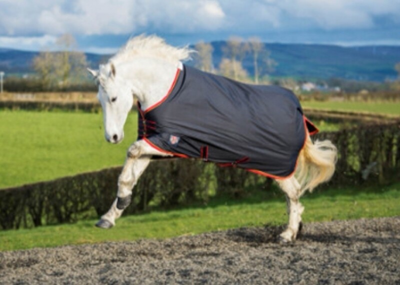 Equisential Turnout Medium rug 200g