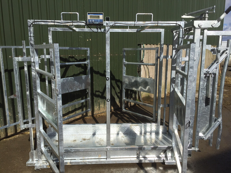 Mobile Crush &amp; Scales