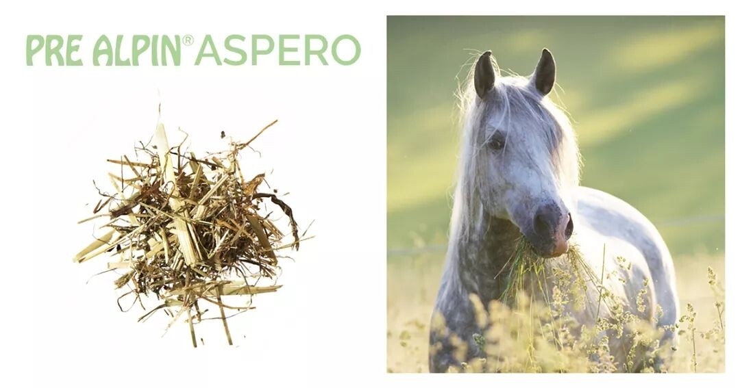 Agrobs Prealpin Aspero