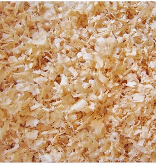 Shavings Clear Bag