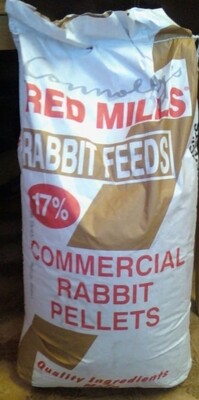 Rabbit food