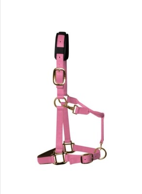 Headcollars, Lead ropes and Travel