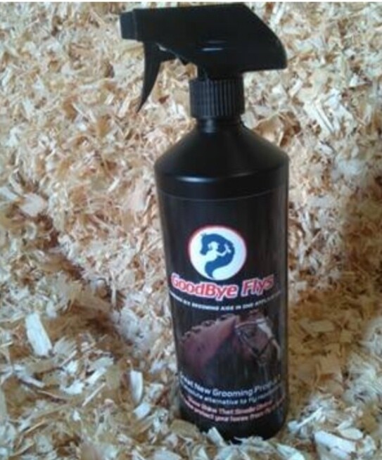 Goodbye Flys Showshine