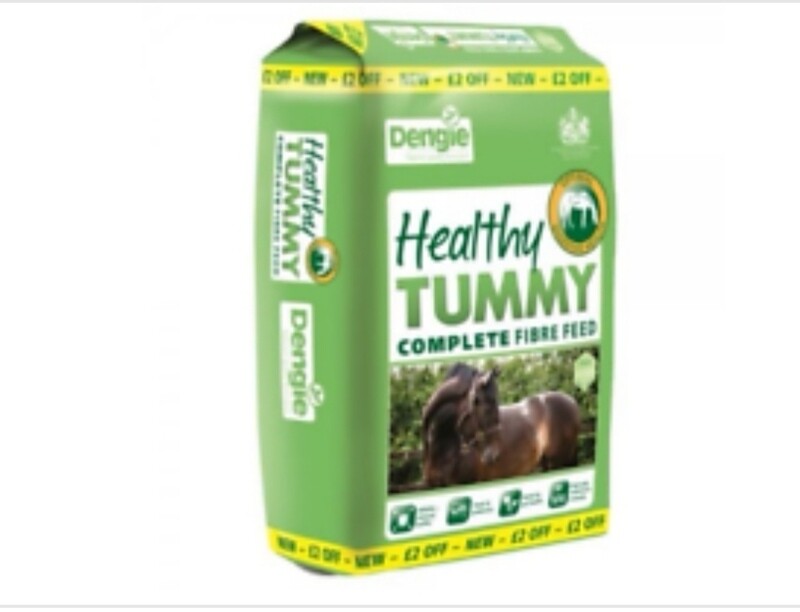 Dengie Healthy Tummy