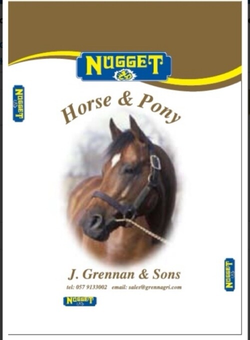 Grennans horse and pony mix