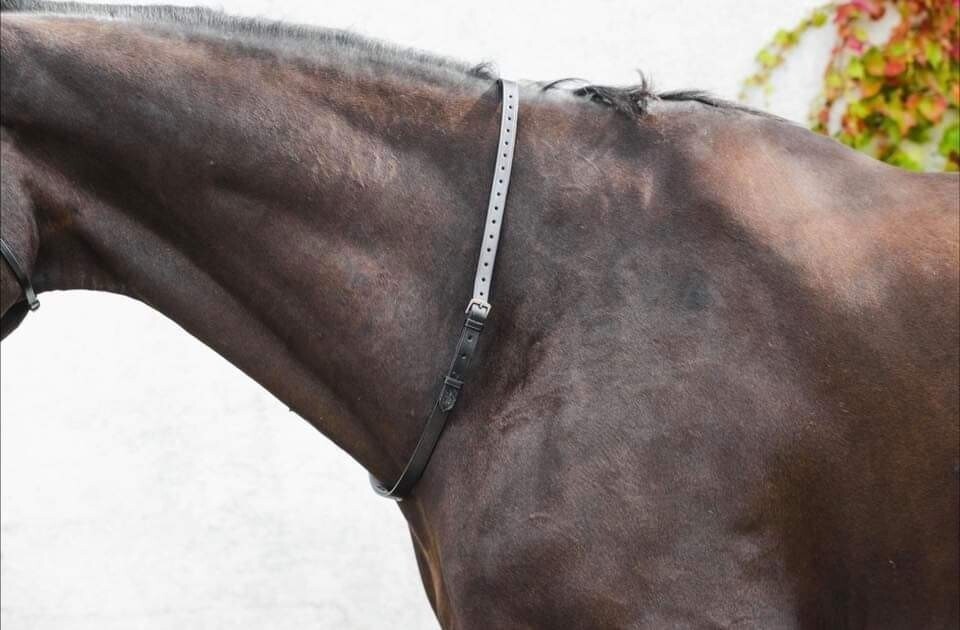 Mackey Classic Leather Neck Strap