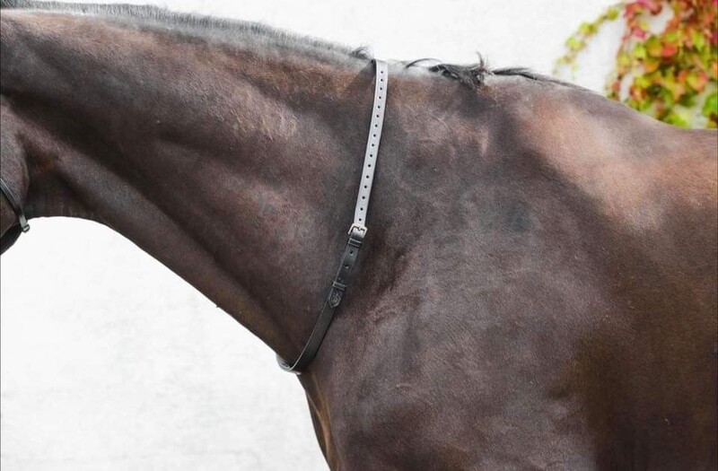 Mackey Classic Leather Neck Strap