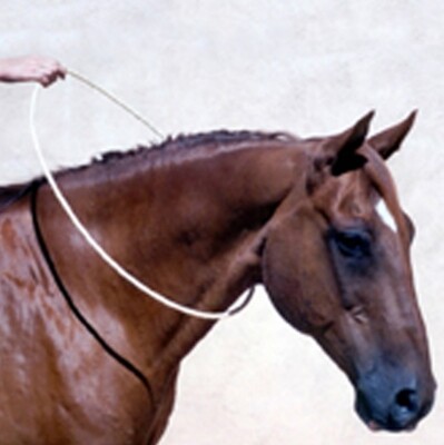Natural Horsemanship