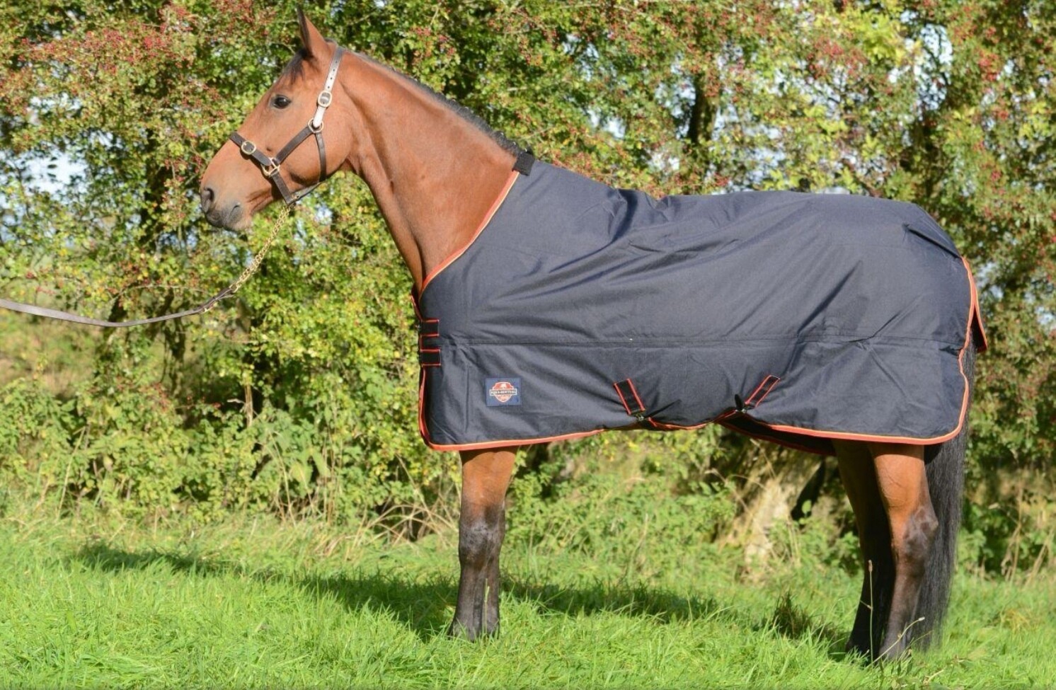 Equisential 0g Turnout rug
