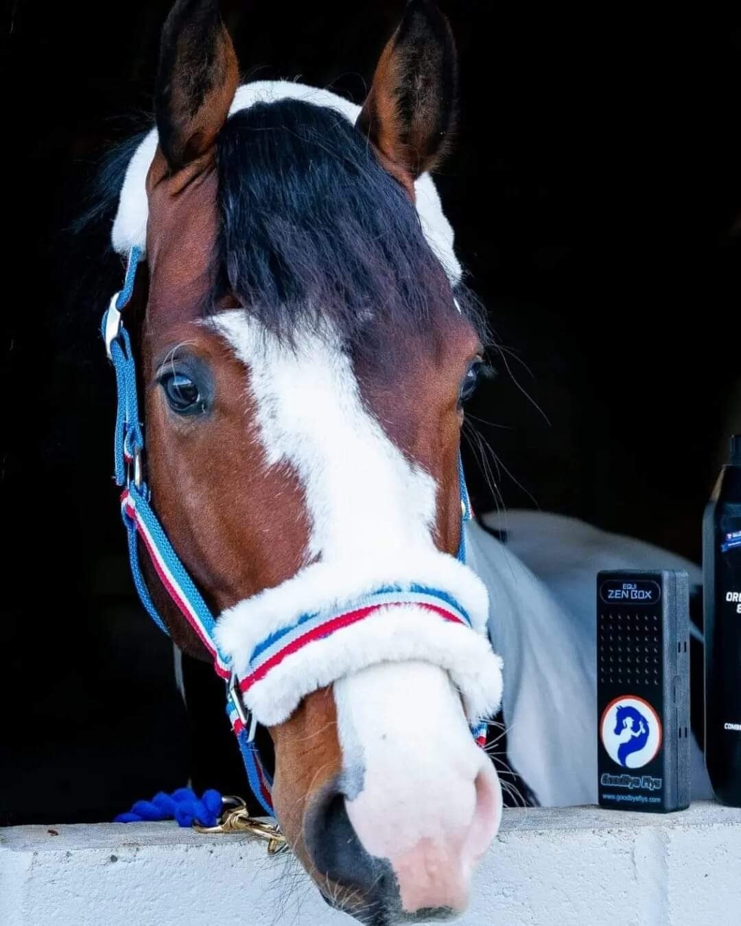 Goodbyeflys Equizen Box Starter Kit 