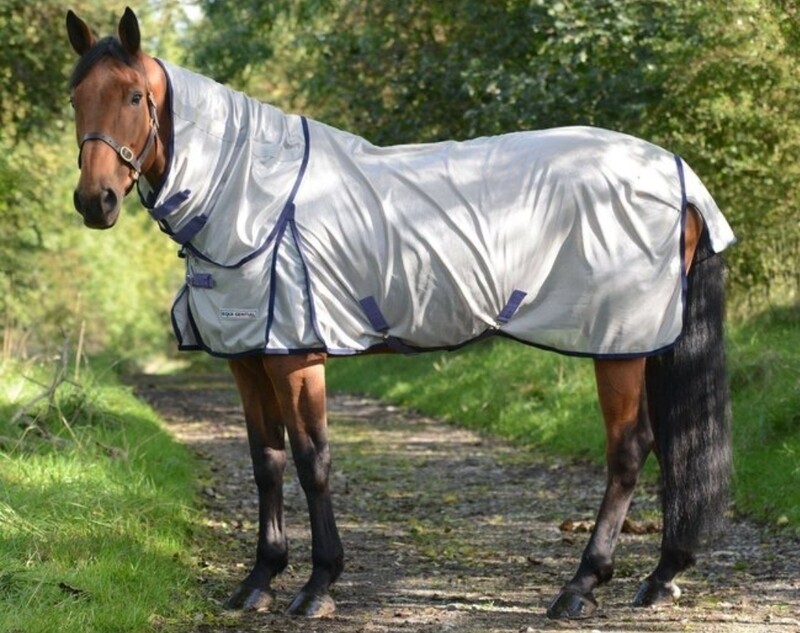 Equisential Fly Rug