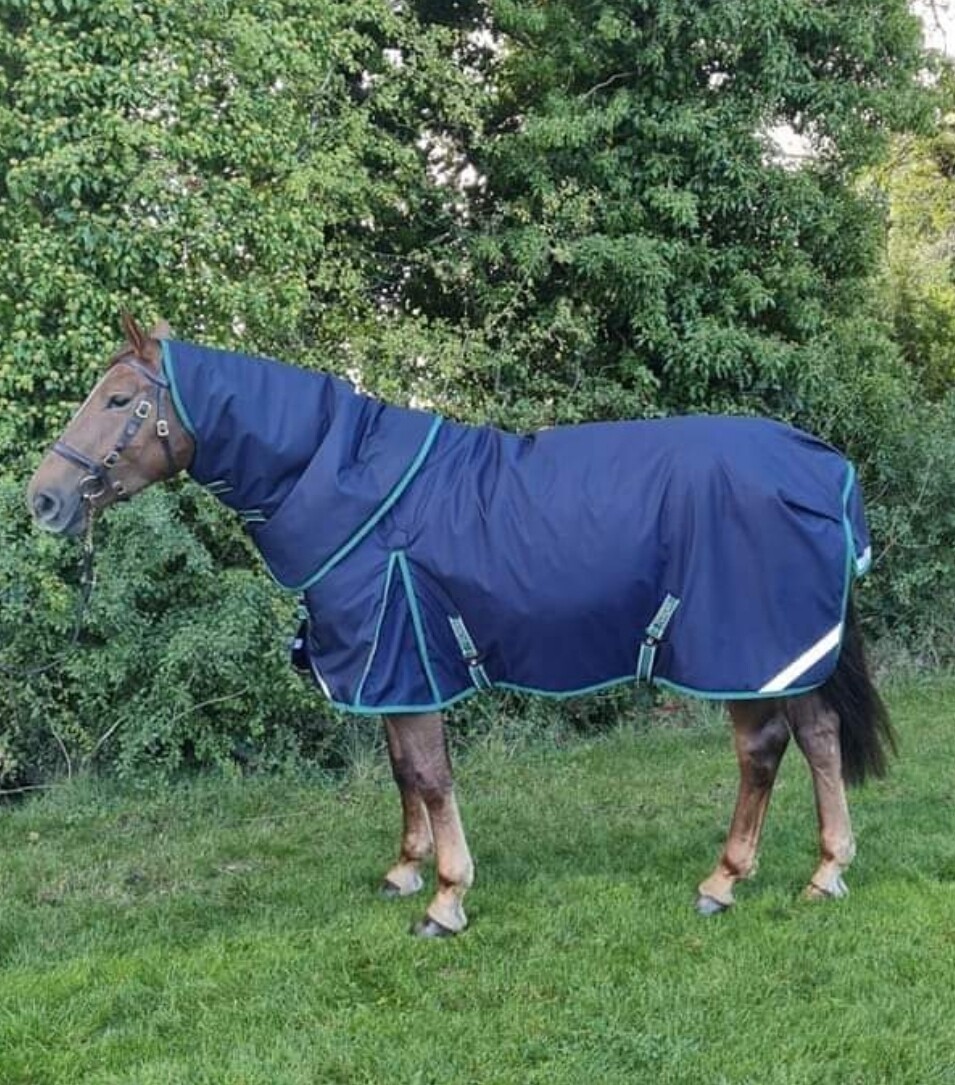 Ferdia The High King 400gm