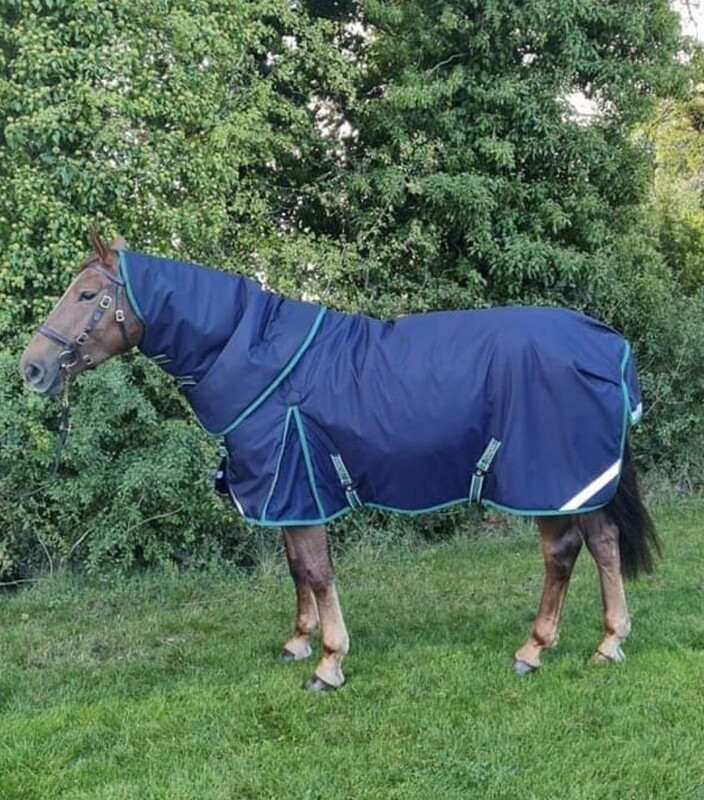 Ferdia The High King 400gm