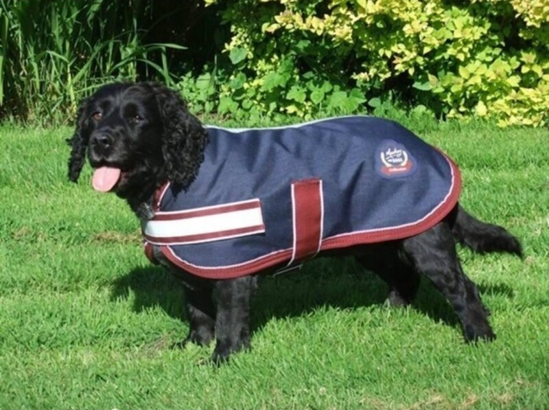 Mackey Buster Dog Rug