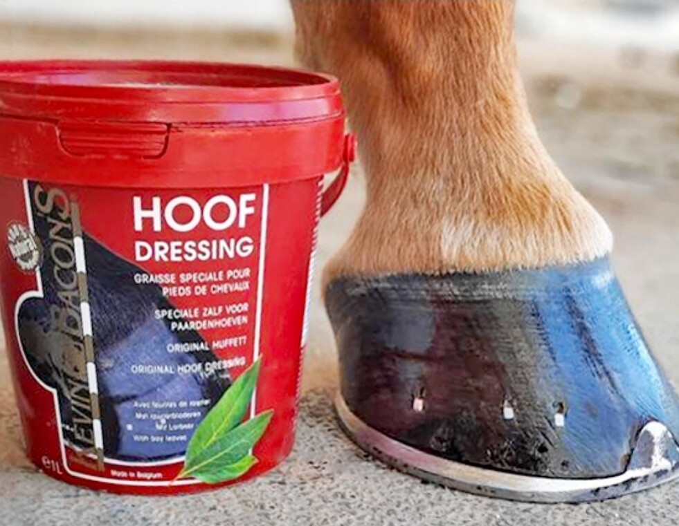 Kevin Bacon's Hoof Dressing 1ltr