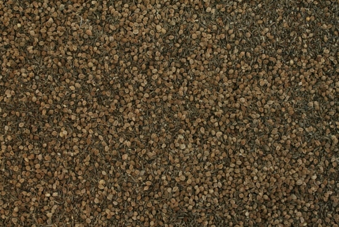 Agrobs Krautermix 1kg