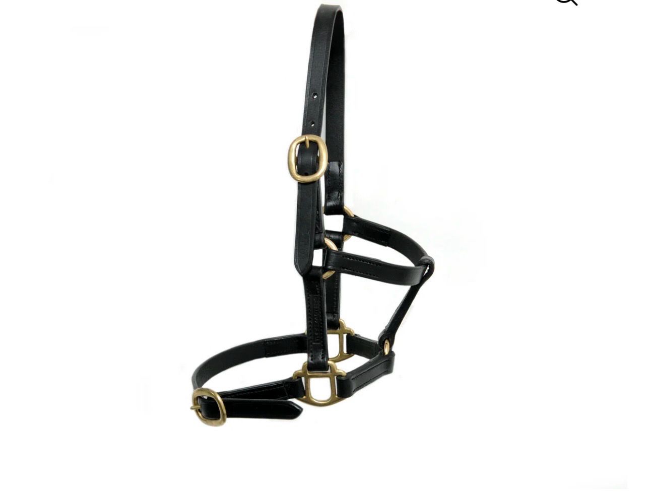 Equisential Leather Headcollar Foal
