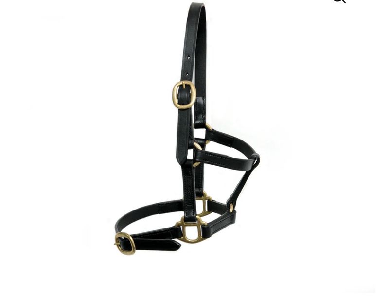 Equisential Leather Headcollar Foal