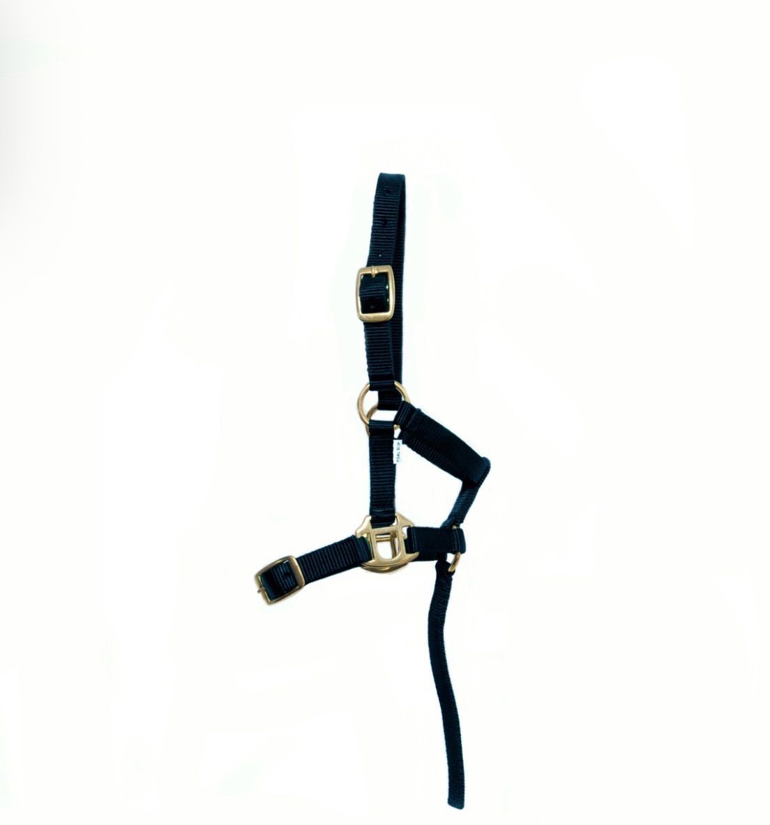 Nylon Headcollar
