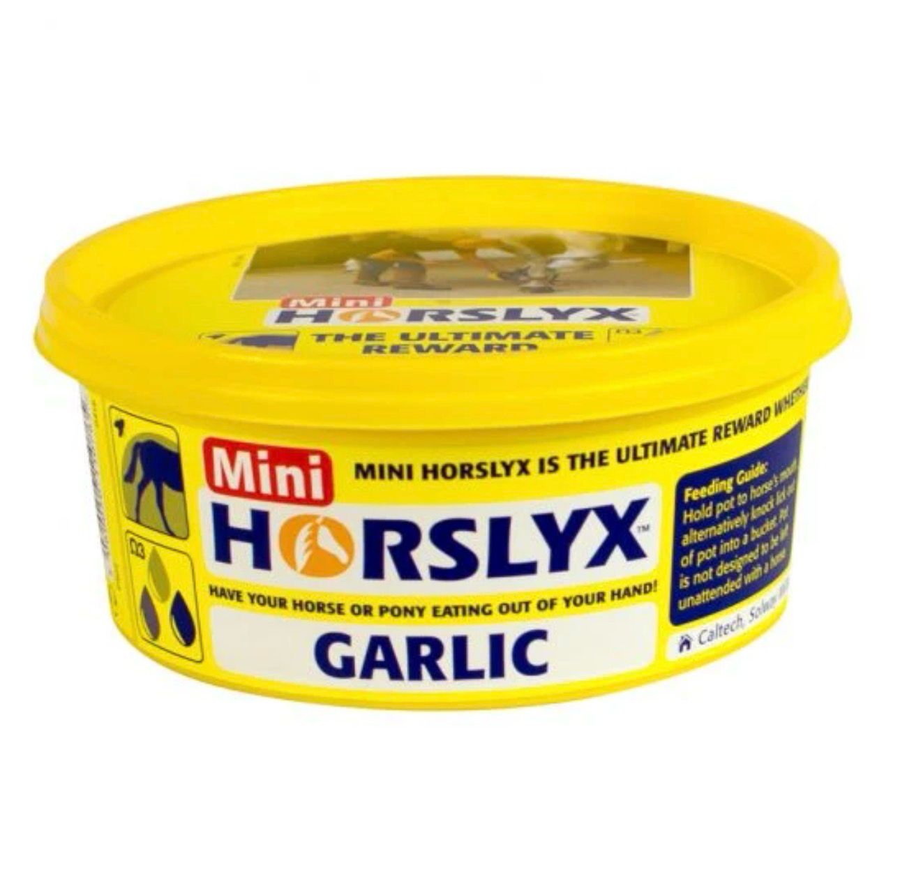 Mini Horslyx