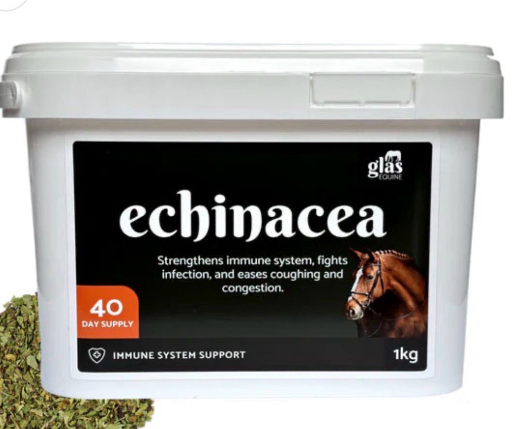 Glas Equine Echinacea 500g