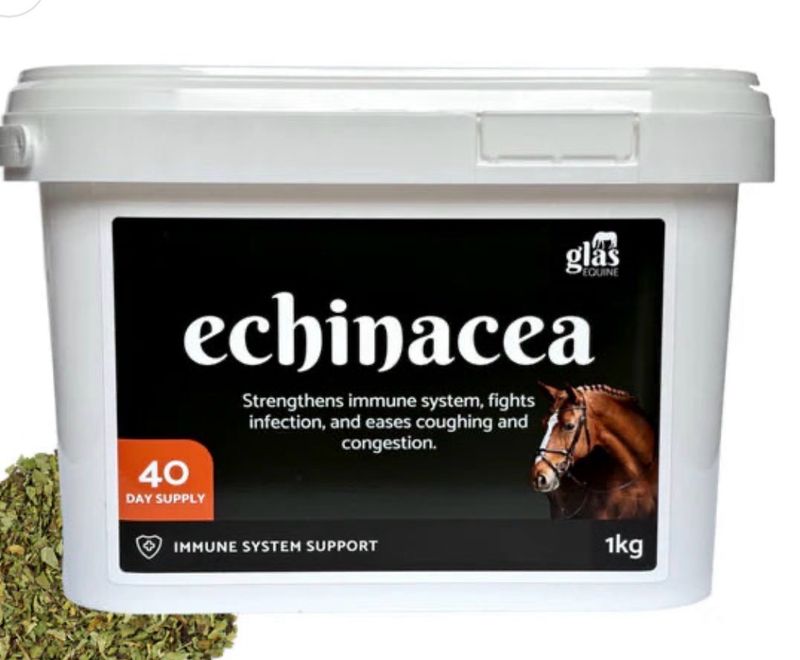 Glas Equine Echinacea 500g