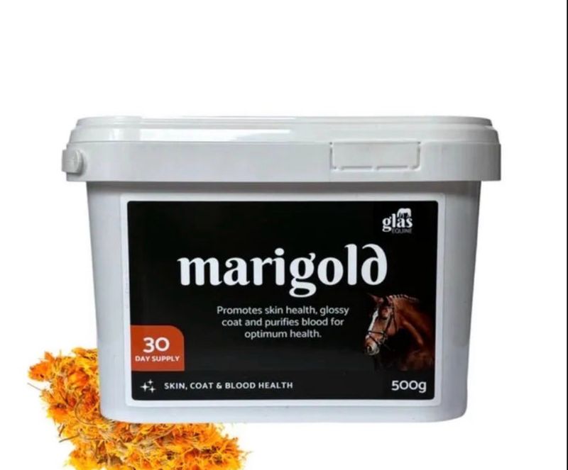 Glas Equine Marigold 500g