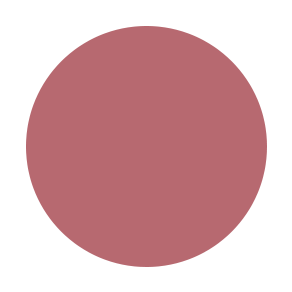 Poetry Matte Liquid Lipstick