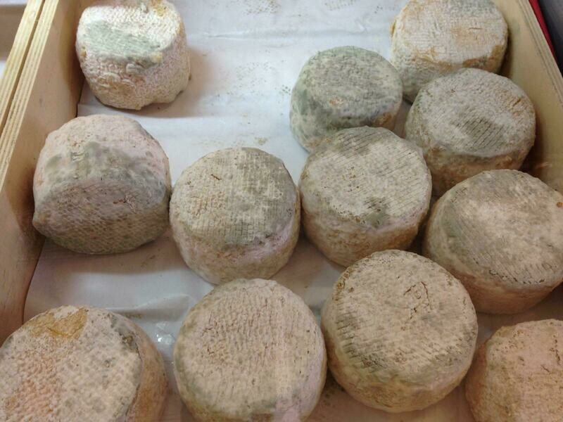 Fromage de Vache