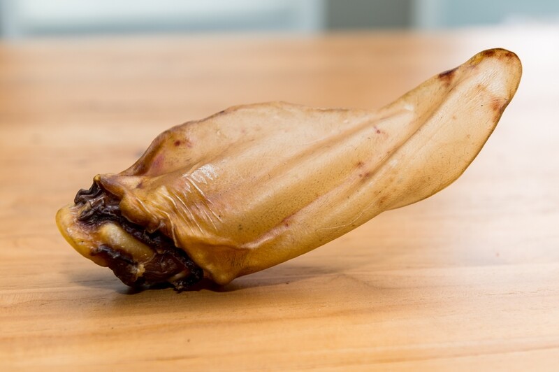 Bison Ear