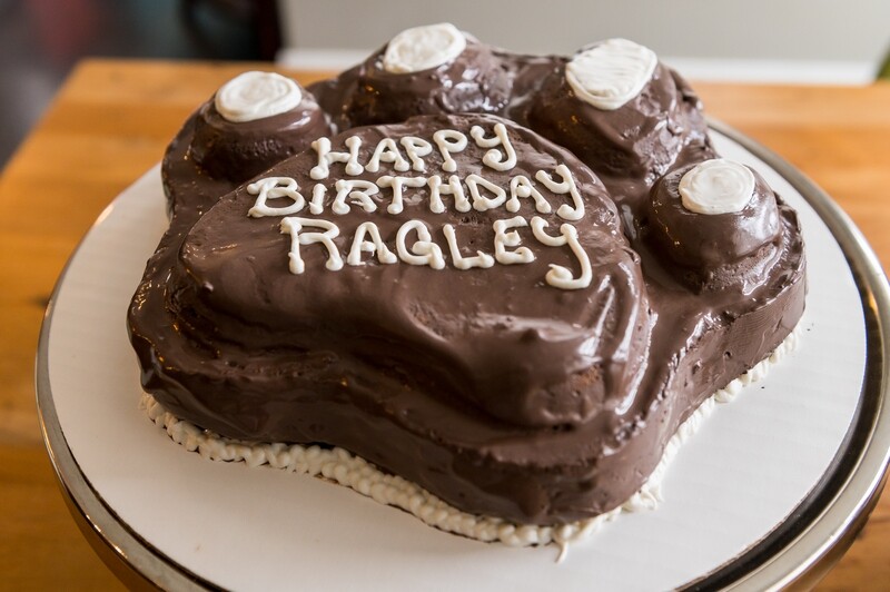 12" Paw Birthday Cake