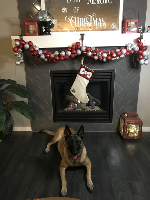 Christmas Stocking filled with treats!