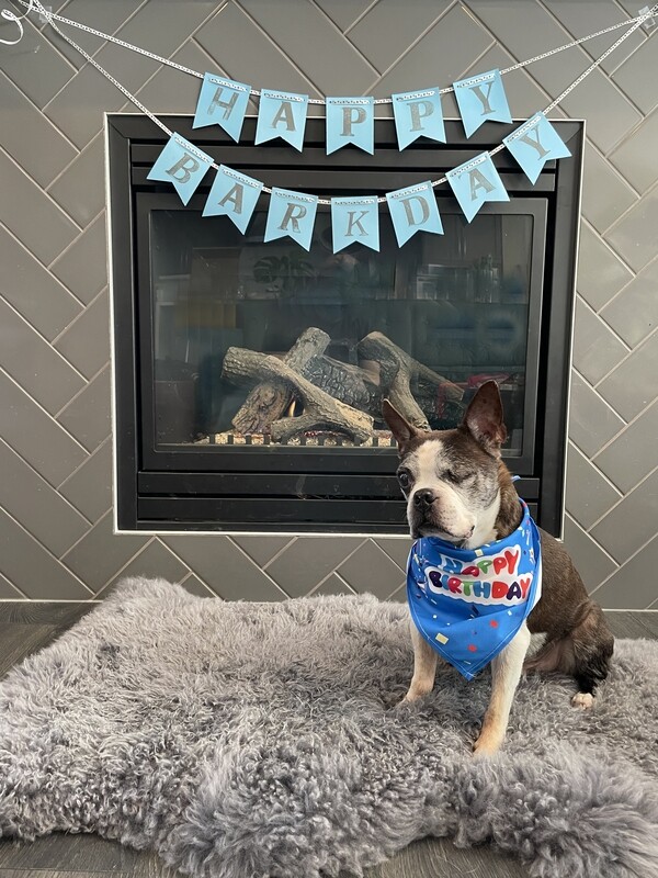 Ultimate birthday Party package