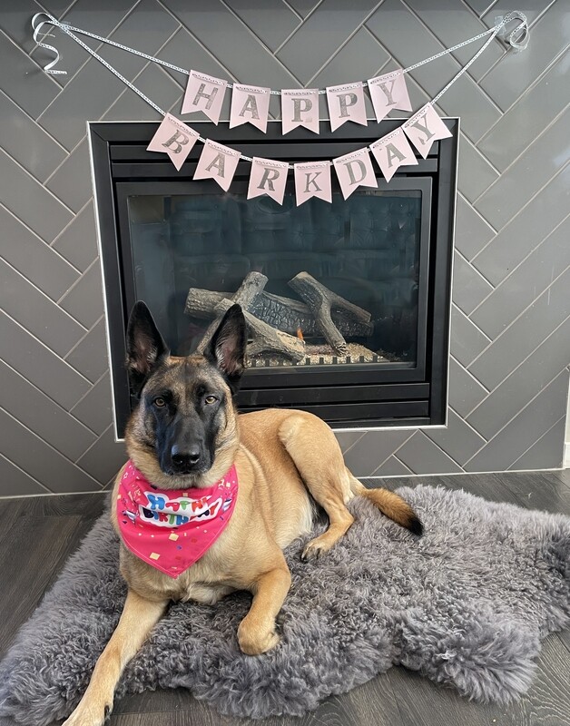 Ultimate birthday Party package