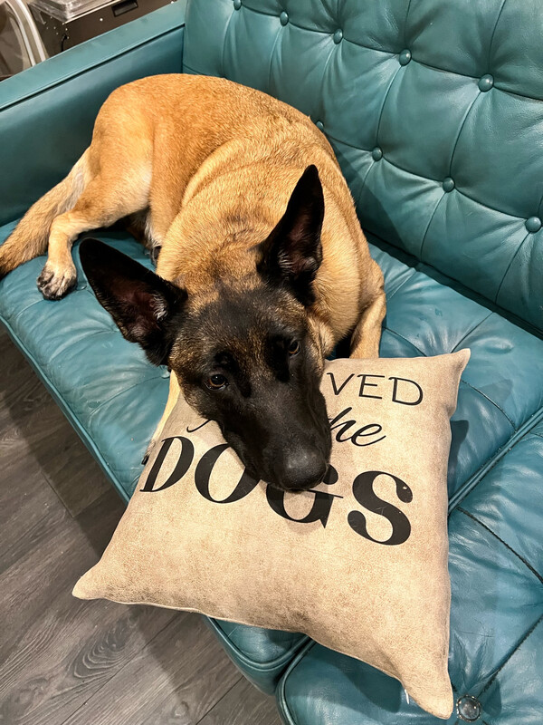 15” Throw pillow