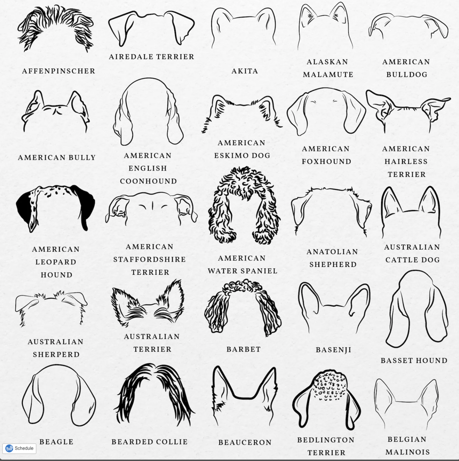 Dog Ear Decals