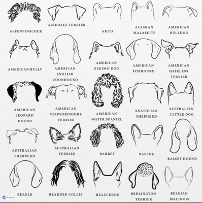 Dog Ear Decals