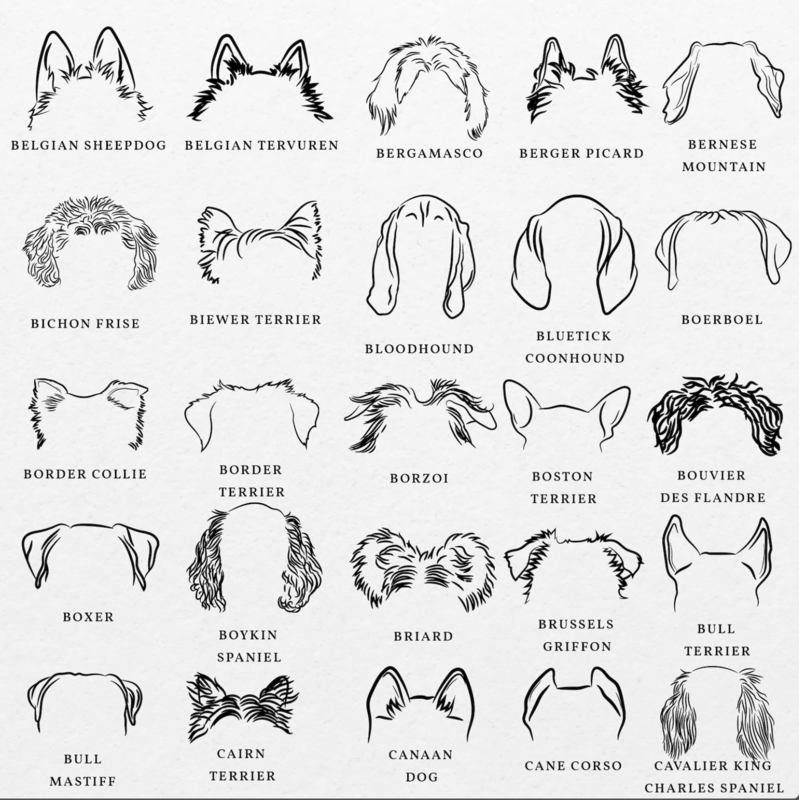 Dog Ear Decals