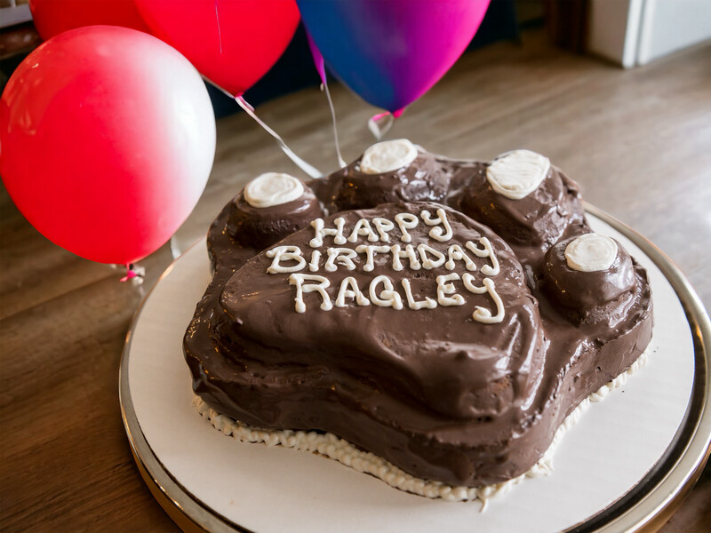 12" Paw Birthday Cake