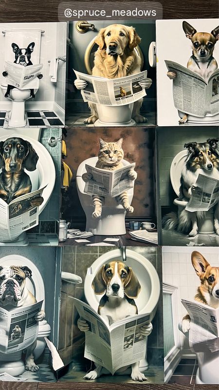 Bathroom Art!