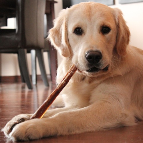 Bully Sticks 