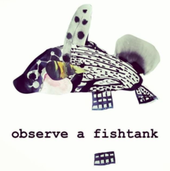 a Fishtank