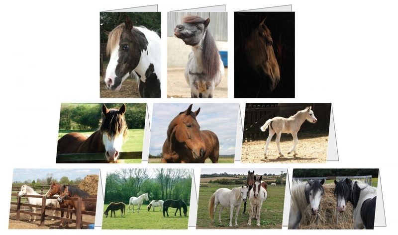 Greeting Cards