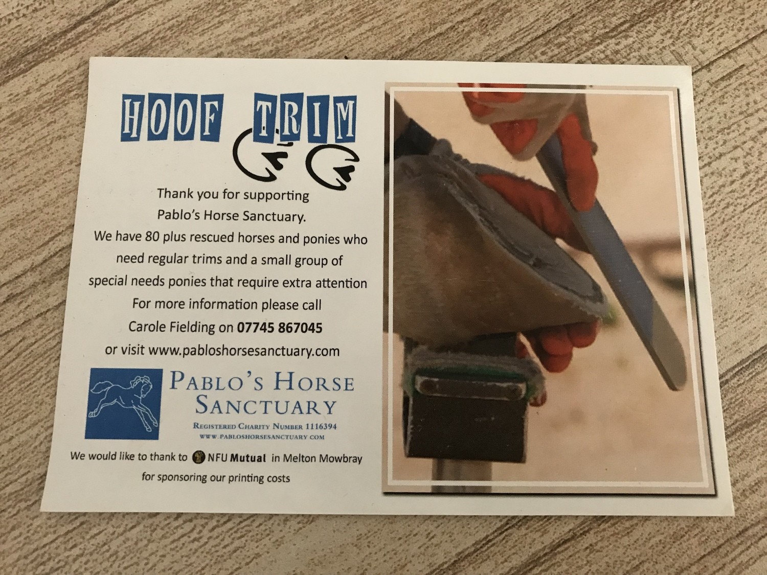 Buy a Hoof Trim for Pablo's