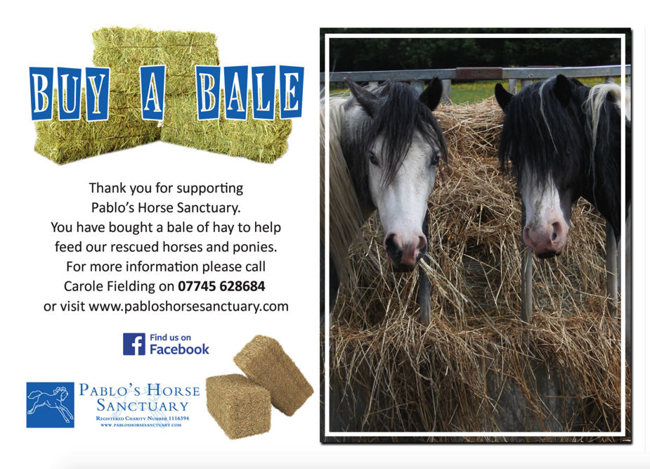 Buy a Bale of Hay for Pablo&#39;s