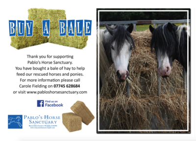 Buy a Bale of Hay for Pablo's