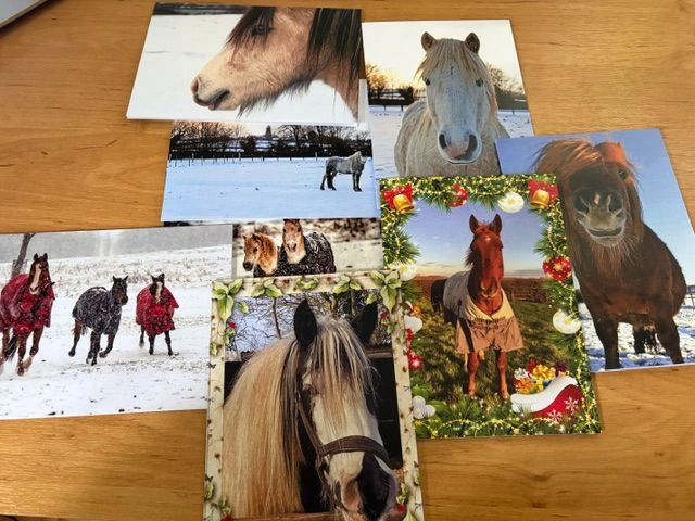 Pablo's Christmas Cards