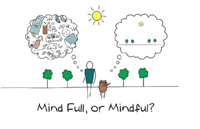 52 Week Mindfulness, Meditation & Mindset Email Series